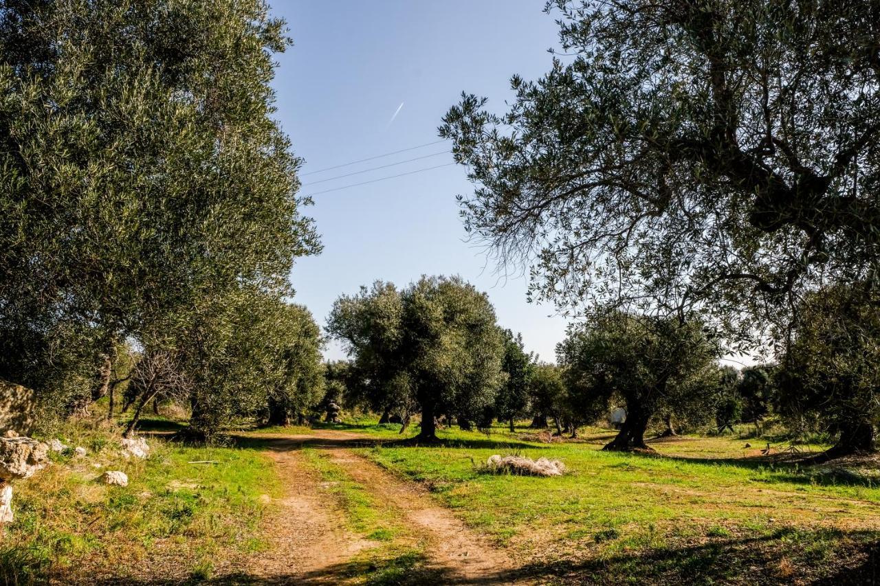 Masseria D'Erchia Монополи Экстерьер фото